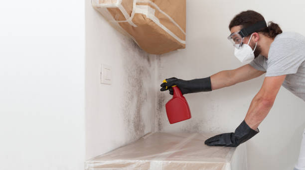 Professional Attic Mold Removal technician working in Line Lexington, PA