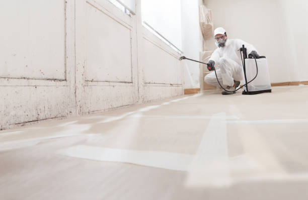 24/7 Emergency Attic Mold Removal experts in Line Lexington, PA