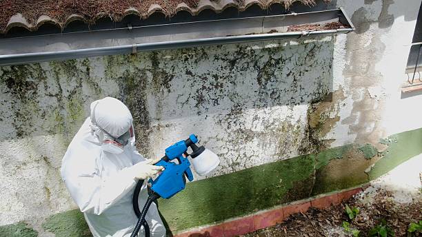 Trusted Bathroom Mold Removal service in Line Lexington, PA - Cheap Mold Removal